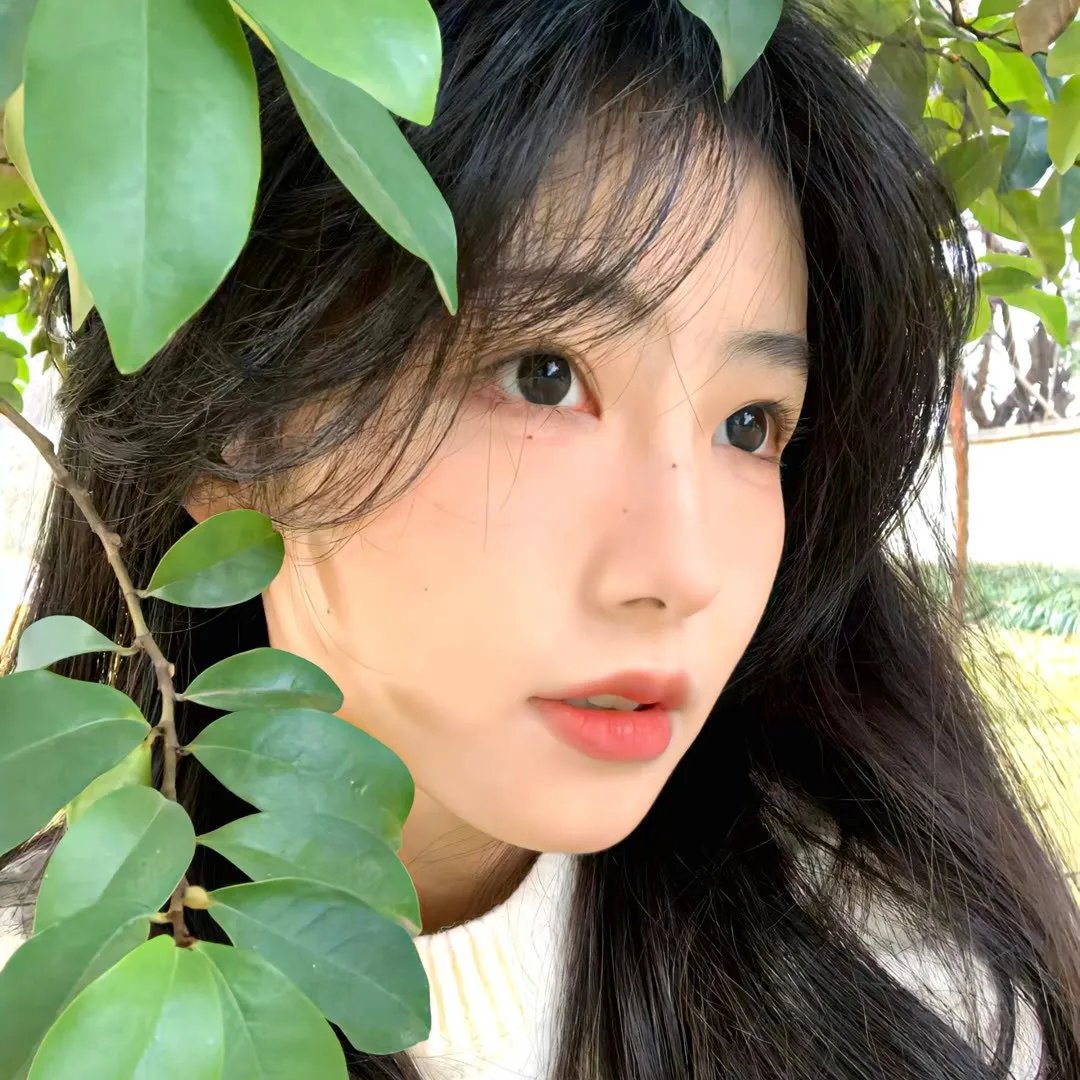 疯城记第二季